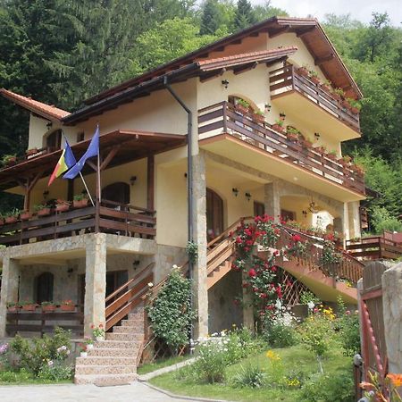 Casa Anca Boutique Hotel Тимишу-де-Жос Экстерьер фото