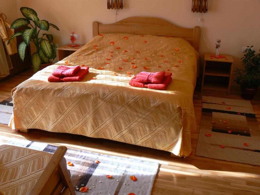 Casa Anca Boutique Hotel Тимишу-де-Жос Номер фото