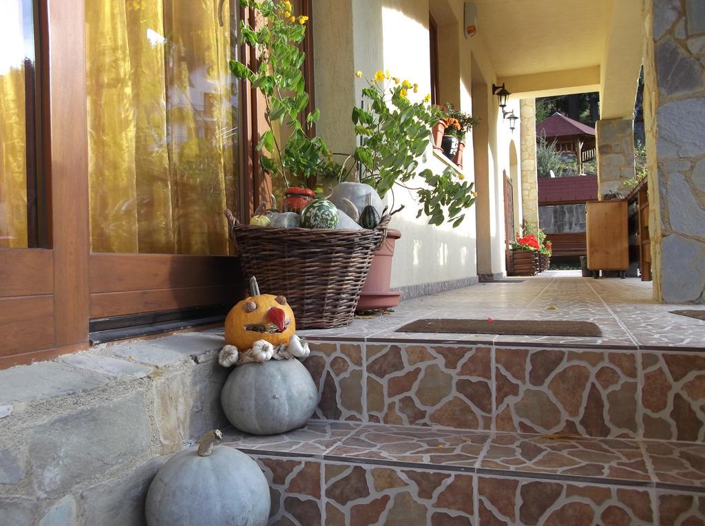 Casa Anca Boutique Hotel Тимишу-де-Жос Экстерьер фото