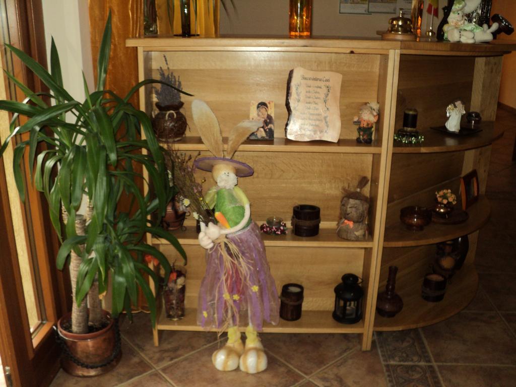 Casa Anca Boutique Hotel Тимишу-де-Жос Экстерьер фото